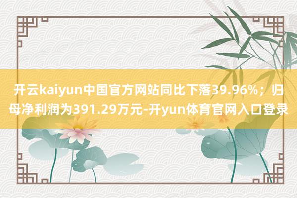 开云kaiyun中国官方网站同比下落39.96%；归母净利润为391.29万元-开yun体育官网入口登录