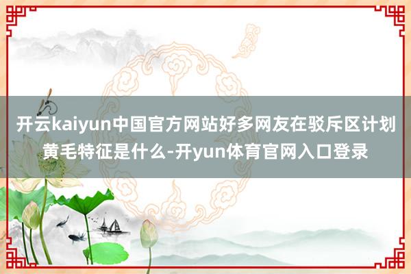 开云kaiyun中国官方网站好多网友在驳斥区计划黄毛特征是什么-开yun体育官网入口登录