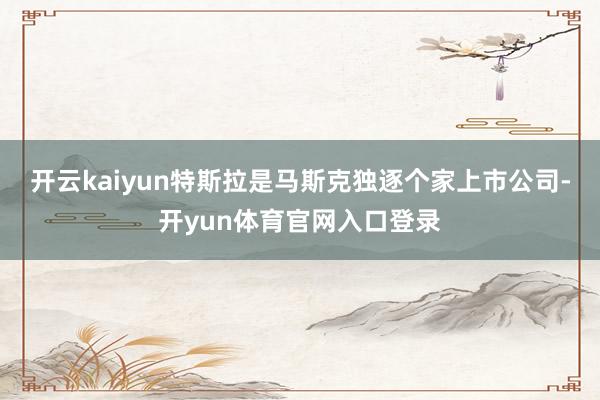 开云kaiyun特斯拉是马斯克独逐个家上市公司-开yun体育官网入口登录