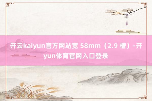 开云kaiyun官方网站宽 58mm（2.9 槽）-开yun体育官网入口登录